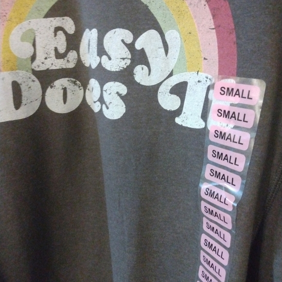 Wildfox NWOT "Easy Does It" Gray Super Soft Stylish Streetwear Sweatshirt S - Picture 2 of 5